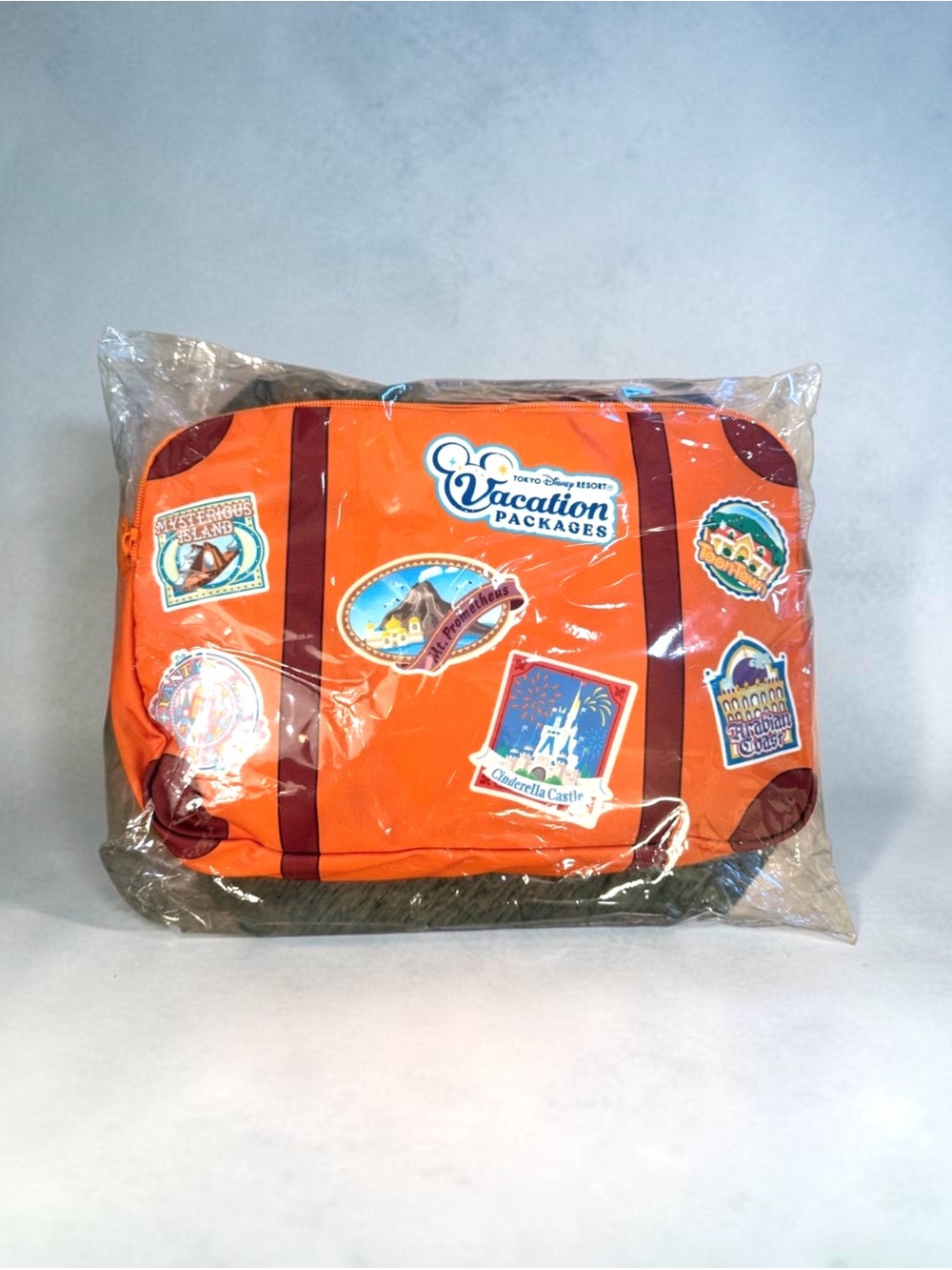 Tokyo Disney Vacation Package Blanket in pouch with Handle NWT exclusive